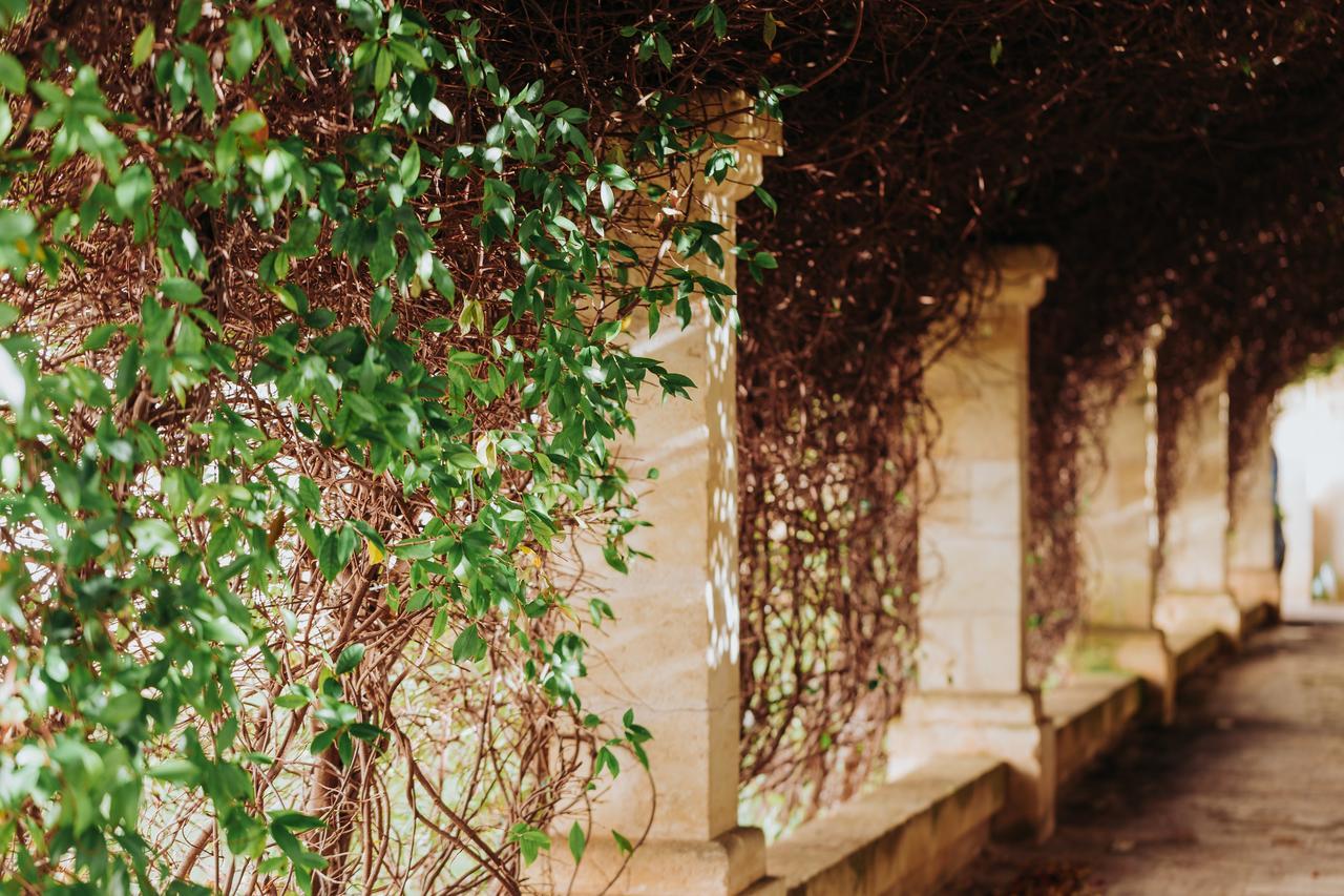 Masseria Ancella Montalbano  Exterior photo